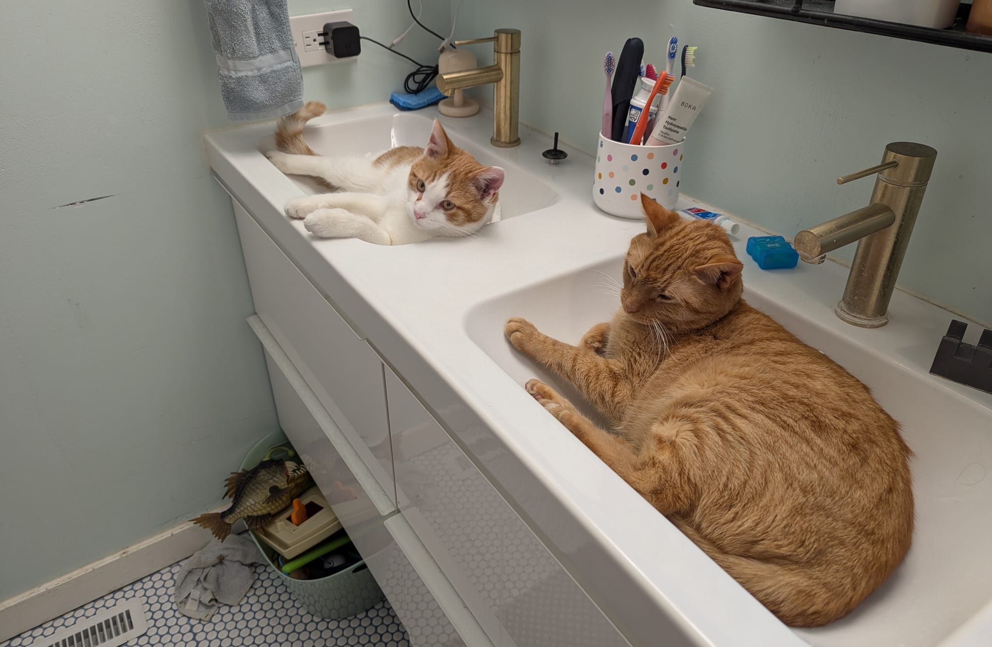 Two cats in two sinks.