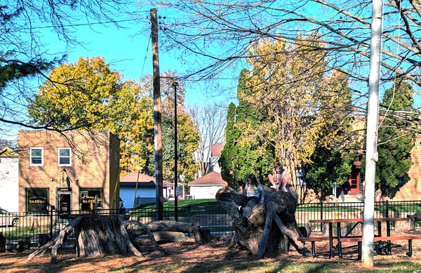 Two elementary schoolers on a big old tree stump in a small outdoor play area composed of stumps and logs to climb on.