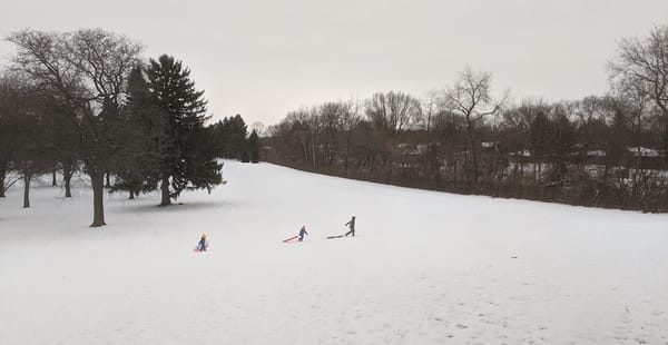 Three children in the distance pulling sleds across a snowy landscape under a gray sky.